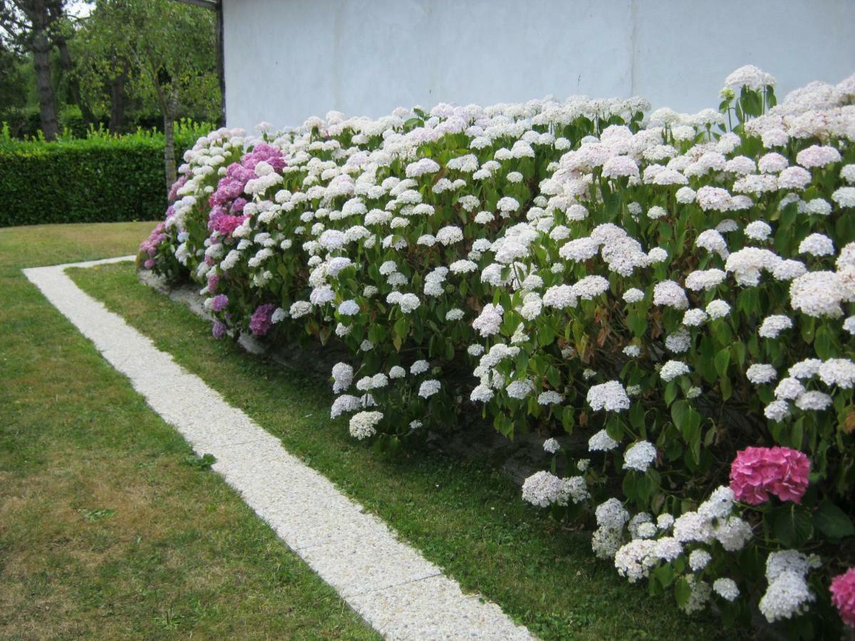 Gite Des Pins Penches Brunville Dış mekan fotoğraf